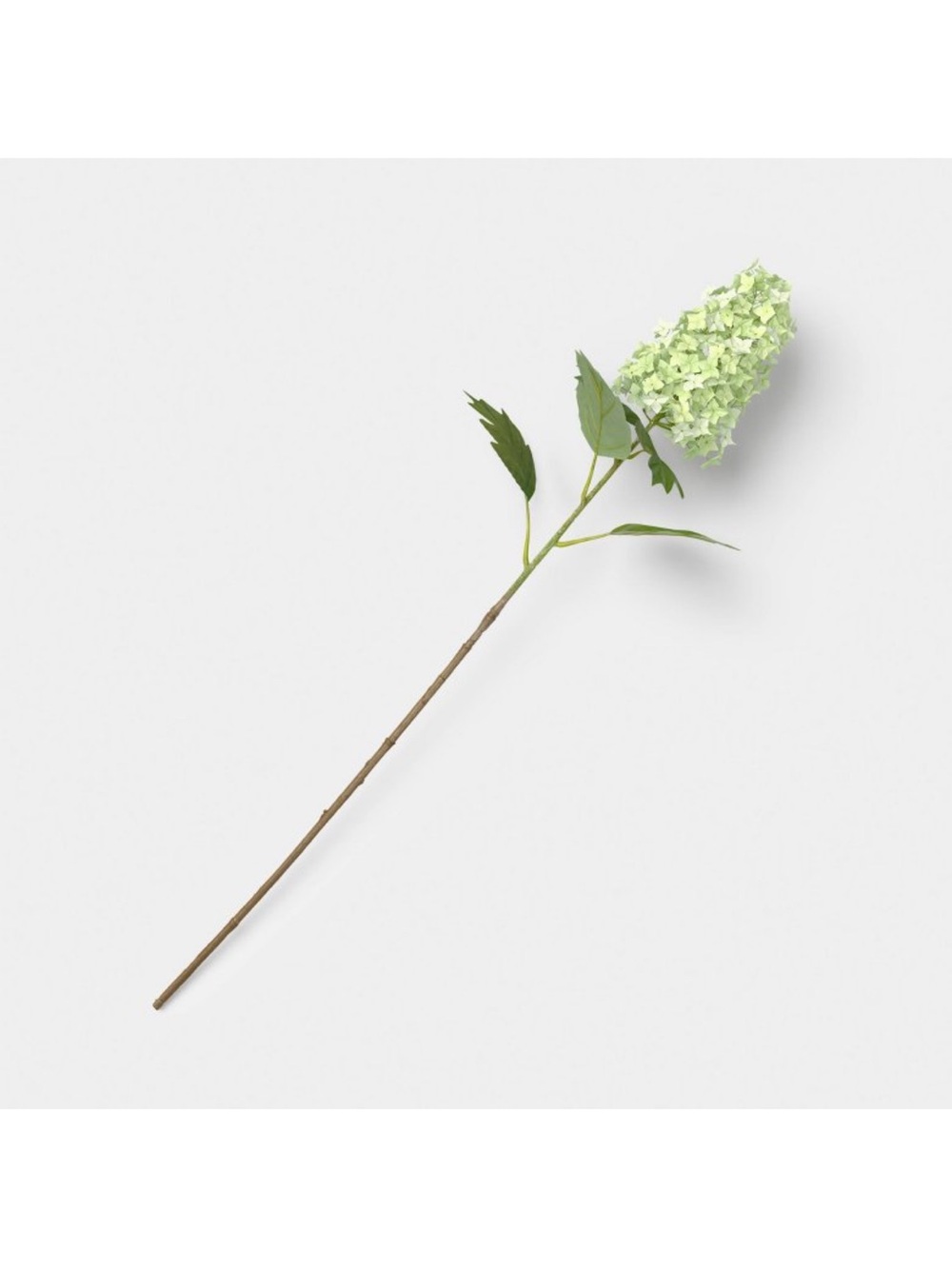 Threshold Set of 2 Green Hydrangea Branches
